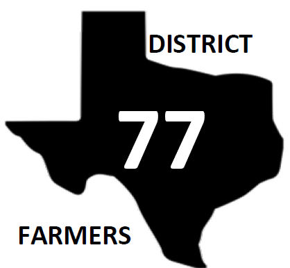 District 77 Logo